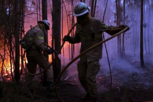 पुर्तगाल जंगल की आग ने लील ली 57 जिंदगियां, कार से भागने वाले भी जिंदा जले
