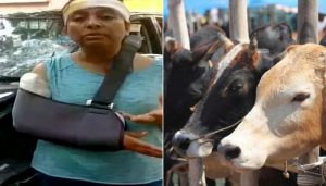 Bengaluru techie claims she was attacked by mob for reporting illegal cow slaughter.