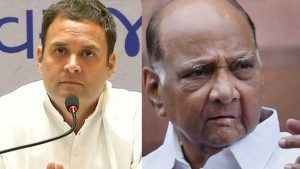 Anti-BJP front in sights, Rahul Gandhi meets Sharad Pawar.