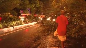 Thunderstorms to continue across Northern India over the weekend, heavy rain in the East: IMD.