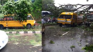 मंगलुरु : छात्रों से भरी स्कूल बस पर गिरा विशाल पेड़, बाल-बाल बचे 17 बच्चे