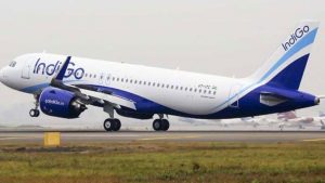 टल गया बड़ा हादसा, टेक-ऑफ के दौरान IndiGo के विमान से टकराया पक्षी, सभी यात्री सुरक्षित