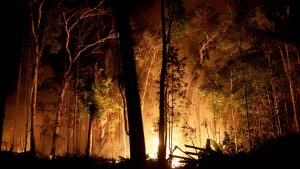 As fires ravage the Amazon, indigenous tribes pray for protection.