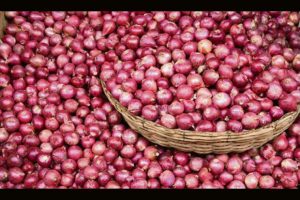 Centre to import onions from Iran, Turkey, Egypt; ease process to ensure quick supply
