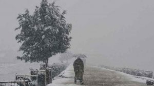 Apple harvest suffers due to snowfall in Jammu and Kashmir's Shopian, Pulwama.