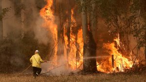 Sydneysiders urged to stay indoors as Australian bushfire smoke blankets city.