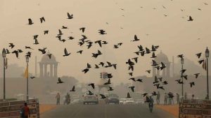 Air pollution in Delhi-NCR remains in severe-plus category; AQI in Hisar reaches 804.