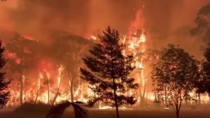 Australian state declares emergency as wildfires surround Sydney.