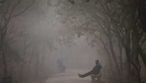 Cold wave grips North India, temperature drops to zero degree in Rajasthan's Sikar.