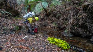 Australia's bushfire-stricken east welcomes drenching rain.