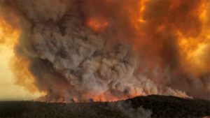 Australia bushfire toll increases to 21; over 1,500 homes destroyed.