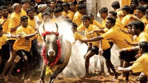 Jallikattu returns to Madurai with stricter norms, competitions to be held from Jan 15-31.