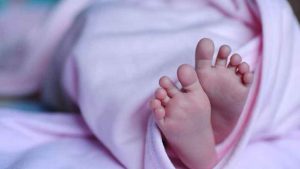 Newborn mauled to death by dog inside operation theatre in UP's Farukkhabad hospital.