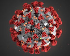 Coronavirus लगातार कर रहा है फिल्म जगत पर अटैक, अब गई एक और मशहूर सिंगर की जान