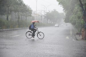 India likely to have a normal monsoon in 2020, forecasts IMD