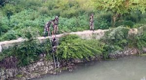 In unique rescue operation, CRPF team saves dog from drowning in Jhelum river in J&K