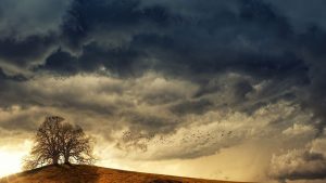 Gusty wind, thunderstorm and widespread rains in Northwest, Southern and Northeast India –Here‘s Met department’s forecast for next 5 days