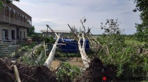 Cabinet Secretary Rajiv Gauba reviews Cyclone Amphan hit areas in West Bengal, Odisha; major damage to agricultural lands