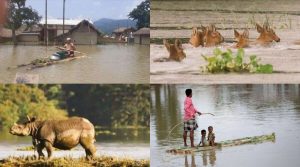 असम में बाढ़ बना 'काल'! अबतक 108 लोगों को मार डाला, 22 जिले बुरी तरह प्रभावित