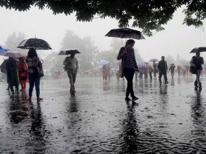 Rains lash Chennai; weather likely to continue for next 48 hours, says IMD