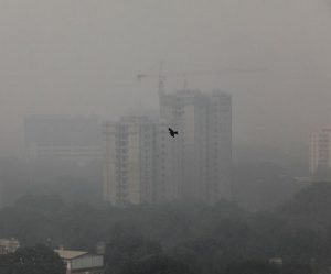 Delhi gasps for air as stubble burning continues; AQI 'severe' in Ghaziabad, Noida