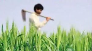 PM-KISAN Scheme: Which farming families are not eligible for availing Rs 6,000 per year benefit?