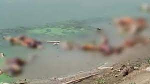 Ghazipur में गंगा नदी में दर्जनों लाशें दिखने से मचा हड़कंप, Covid संक्रमित होने की आशंका