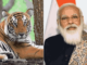 International Tiger Day: पीएम मोदी ने वाइल्डलाइफ प्रेमियों को दी बधाई, बाघों के लिए सुरक्षित आवास सुनिश्चित करने की प्रतिबद्धता दोहराई