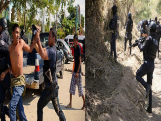 मेक्सिको: मुर्गों की लड़ाई के चक्कर में चल गईं ताबड़तोड़ गोलियां, 19 लोगों की हुई मौत
