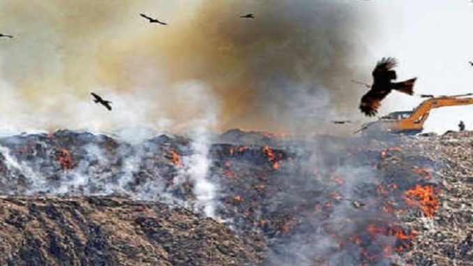 गाजीपुर लैंडफिल साइट पर लगी भीषण आग, आसपास फैला धुआं; लोगों को सांस लेने में हो रही परेशानी