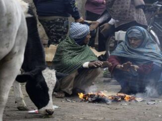 At 4.4 degrees Celsius, Delhi sees season's lowest temperature