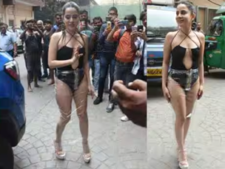 Urfi Javed Wears Transparent Dining Table Plastic Sheet As Skirt Over Risque Black Monokini, Trolls Call Her 'Pagal' .