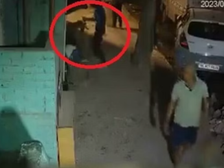 दिल्ली में दिल दहला देने वाला मर्डर: युवक ने नाबालिग लड़की पर चाकू से किए 21 वार, फिर पत्थर से कुचलकर मार डाला