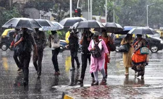 Weather Update: Thundershowers Lash Delhi-NCR, IMD Predicts Heavy Rainfall In Maharashtra, Karnataka