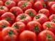 Tomato Prices Continue At Rs 200/ Kg In Chennai, TN Govt To Sell Veg From PDS Stores