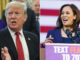 'The Way She talks...': Donald Trump Mocks Kamala Harris' Accent