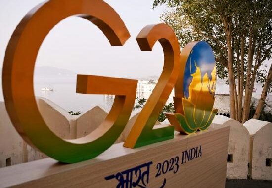 G20 Summit: 50 Ambulances For Emergency Response; 6.75 Lakh Flower Pots To Adorn Delhi Roads