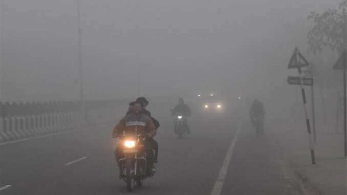 Weather Update: Dense Fog To Engulf Delhi, UP, Punjab; Fresh Spell Of Rain In Tamil Nadu