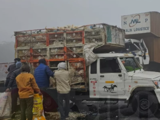 Agra Accident: हादसे के बाद मची मुर्गे-मुर्गियां लूटने की होड़, बोरियों में भरकर ले गए लोग, NH पर दिखा हैरान करने वाला नजारा