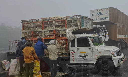 Agra Accident: हादसे के बाद मची मुर्गे-मुर्गियां लूटने की होड़, बोरियों में भरकर ले गए लोग, NH पर दिखा हैरान करने वाला नजारा