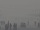 Weather Update: Delhi NCR Reels Under Cold Wave, Dense Fog, Orange Alert Issued