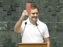 Rahul Gandhi Appointed As The Leader Of Opposition In Lok Sabha