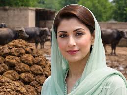 Pakistan Economy Crisis: पाकिस्तान में ‘गोबर टैक्स’ का नया फरमान! कंगाली के दौर में किसानों का खून चूसेगी सरकार