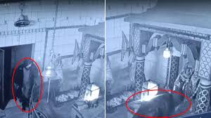 ग्रेटर नोएडा के दुर्गा मंदिर में घुसा चोर और ले उड़ा 3 किलो का चांदी का छत्र, CCTV में कैद हुई करतूत