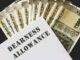 Why is DA and basic pay merger demand being made? How will it benefit employees?