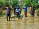 Assam flood: 41 dead, over 6.5 lakh affected as major rivers breach danger levels