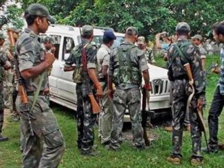 13 Naxals killed in encounter in Maharashtra's Gadchiroli, search operation underway