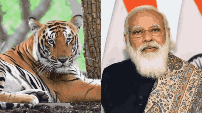 International Tiger Day: पीएम मोदी ने वाइल्डलाइफ प्रेमियों को दी बधाई, बाघों के लिए सुरक्षित आवास सुनिश्चित करने की प्रतिबद्धता दोहराई