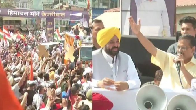 'Mission Himachal': Arvind Kejriwal, Bhagwant Mann hold roadshow in Mandi