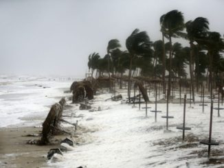 Cyclone Asani: 18 Odisha districts on alert, heavy rainfall expected in Bengal - key updates